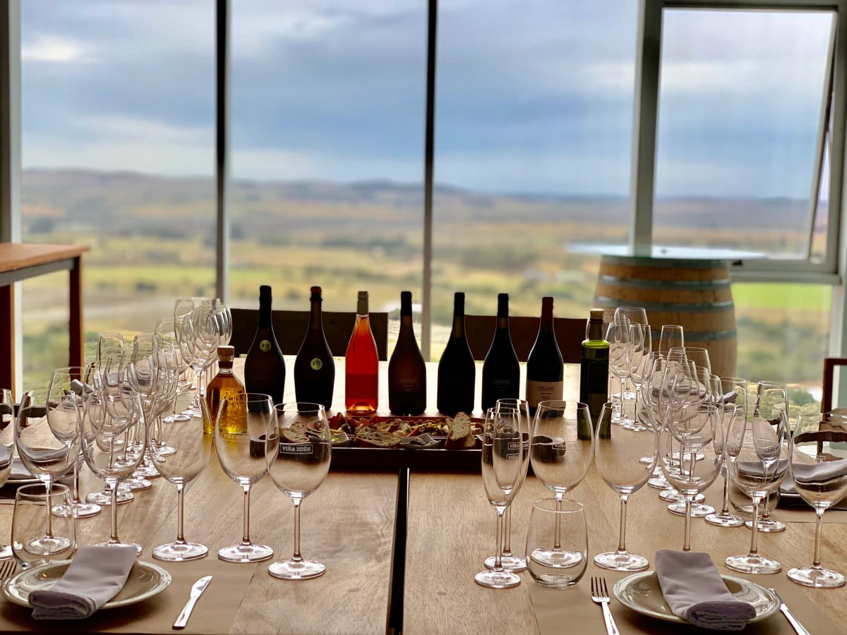 Tasting 8 vinos con el enólogo