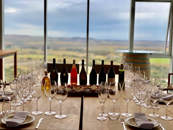 Tasting 8 vinos con el enólogo