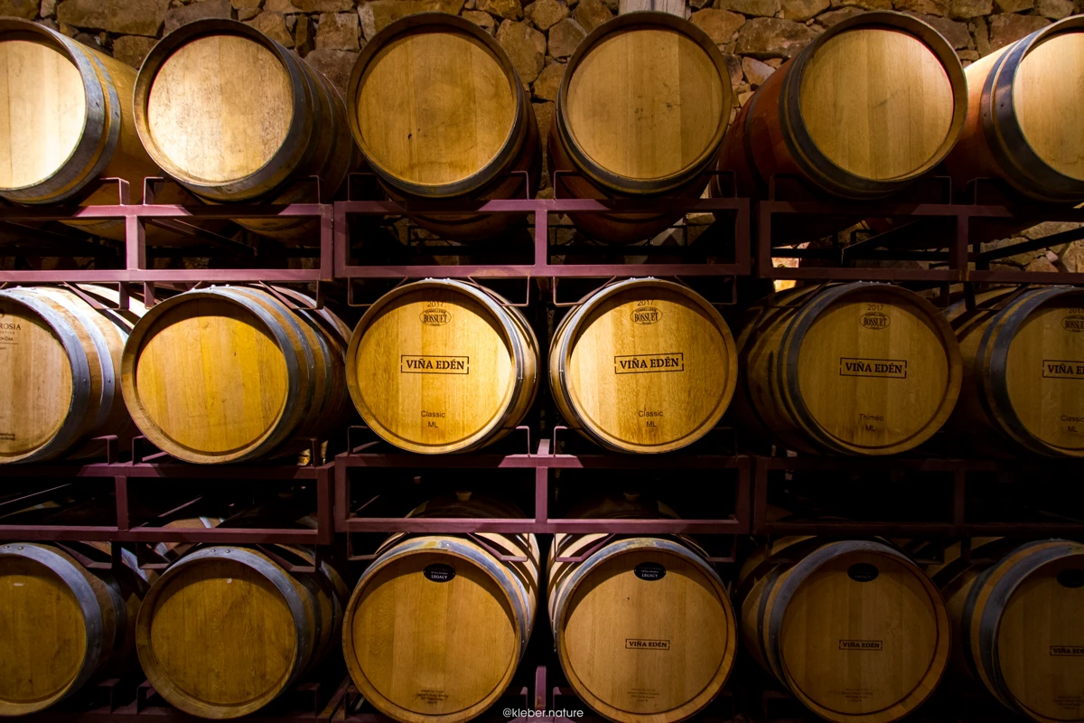 Visita guiada a la bodega