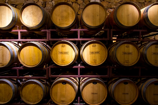 Visita guiada a la bodega