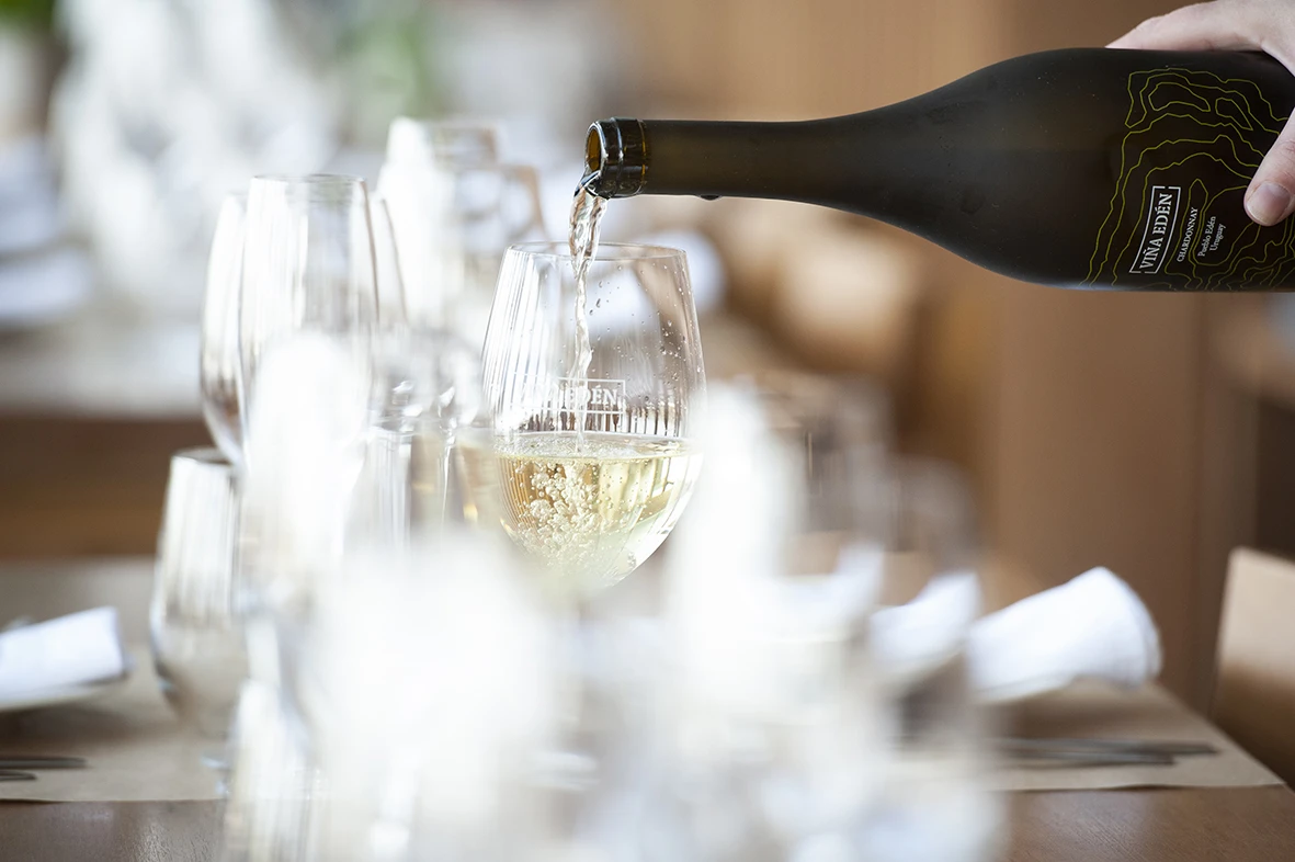 Menú degustación Full Experience