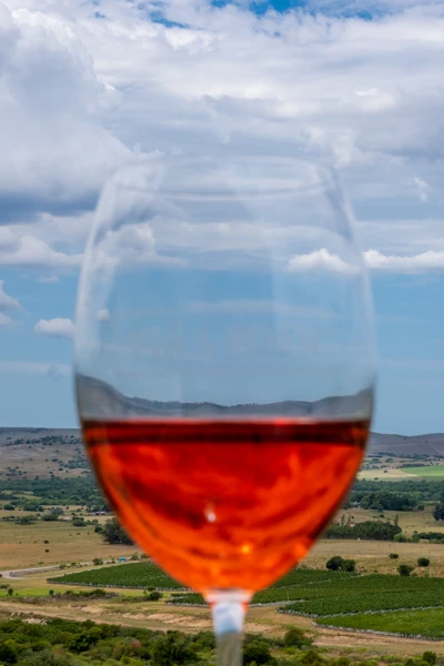 Escapada Viña Edén