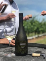 Degustación al aire libre