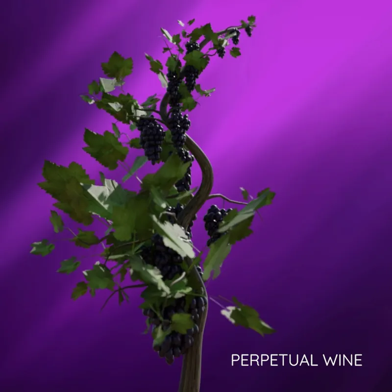 VINA NFT - Colección de Vinos Perpetuos