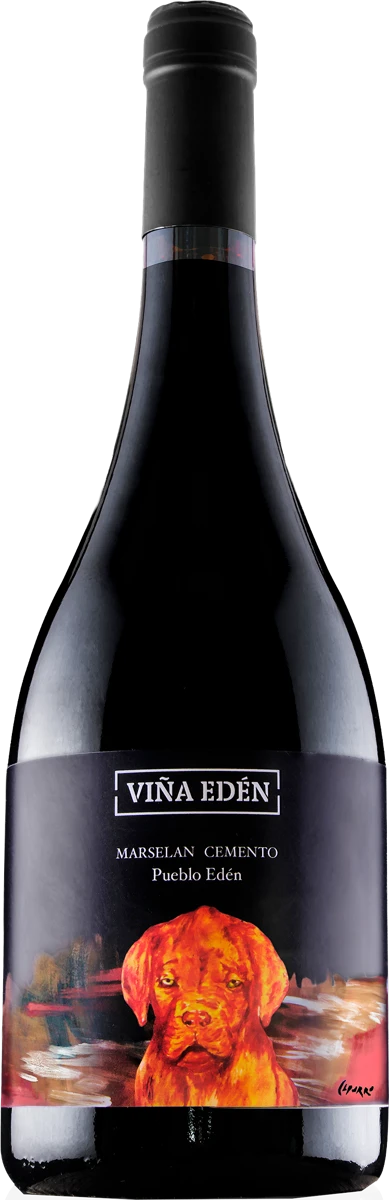 MARSELAN CEMENTO 2020