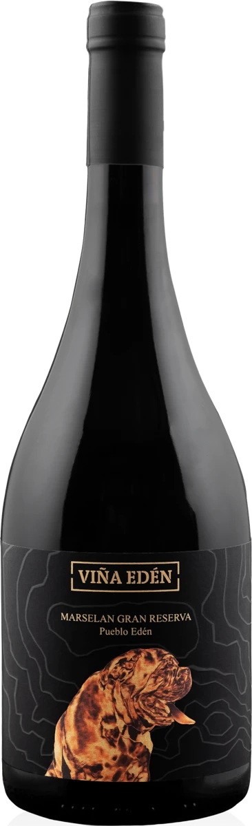 MARSELAN GRAN RESERVA 2021